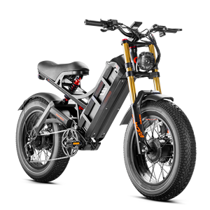 Bicicleta Eléctrica con Llantas Gruesas de 20*4.0 Pulgadas, 48V 250w 60Ah, Motor Dual, para Nieve y Montaña, Disponible en Almacén de EE. UU. - Product Image 1