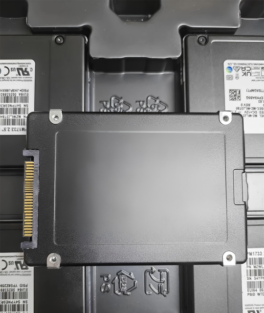For PM1743 1.92T 3.84T 7.68T 15.36T 30.72T Internal SAS Enterprise SSD 6900MB/s Read/5000MB/s Write High-Speed Stable Server