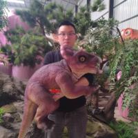Küçük Animatronic dinozorlar kukla t-rex bebek Dino kukla