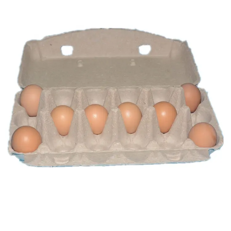 Personnalisé 18 naturel pâte de couleur boîte de stockage des œufs