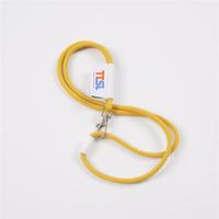CH Wholesale Sublimation Printing Polyester Lanyards With Logo Custom Certification Keychain OEM ODM ECO Promotion Event Gifts