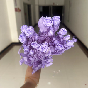 Ramo de Flores Secas en Oferta 2026, Flores Secas, Rosa Preservada, Eterna, Duradera, Infinita, Inmortal, Múltiples Rosas, Regalo - Product Image 4