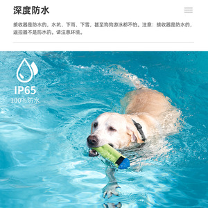 Collier anti-aboiement intelligent pour chiens, portée 800 m, étanche, rechargeable, avec télécommande d'entraînement - Product Image 3