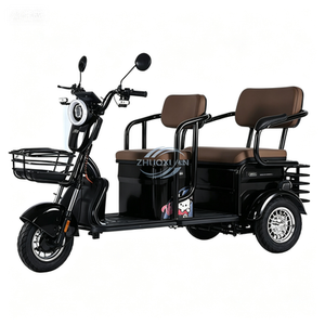 Tricycle électrique robuste pour la famille et la livraison de marchandises - Product Image 1