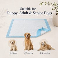 Almohadillas absorbentes para perros al por mayor, suaves, no tejidas, súper absorbentes con núcleo SAP, de secado rápido, impermeables, con base de PE, para entrenamiento de cachorros, OEM