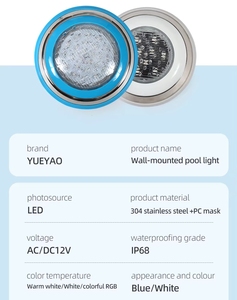 Projecteur LED immergé intelligent IP68 en acier inoxydable pour <span class=keywords><strong>piscine</strong></span>, sauna et aménagement paysager, à montage mural encastré - Product Image 6