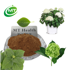 En kaliteli saf doğal cilt bakımı ortanca macrophylla yaprağı ekstresi - Product Image 1