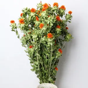 MF-L50Wholesale Real Natural Dried Flower Orange Pineapple Hot Sale Dried Safflower Flowers Bouquet Chrysanthemum Dried Flowers