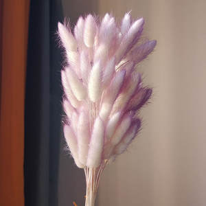 Haute Qualité Artificielle Tournesol Lapin Herbe Séché Queues De Lapin <span class=keywords><strong>Lagurus</strong></span> Pampas Fleurs Décoration Murale pour Noël Pâques Chinois - Product Image 4