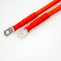 Cable de alimentación de cobre sin halógenos de 25 mm² y 12 V, personalizado BRAVE, para baterías de vehículos de nueva energía, arnés de cableado ISO9001 para energía automotriz