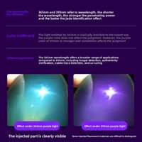 Mini lampe torche UV TiP LED en alliage d'aluminium, lumière ultraviolette 365nm, indice de protection IP66, pour la vérification de la qualité du jade et des bijoux