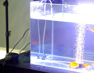 Stil Aquarium Mini Luchtpomp Voor Aquarium Klein Aquarium Met Eu/Us Plug 110/220V - Product Image 2