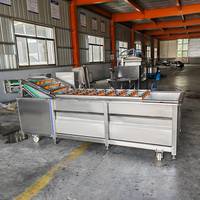 Hoog rendement industriële volautomatische motor CE-gecertificeerde groente-fruit-noten-bubbelwasmachine SUS304 voedselverwerking