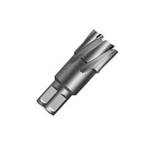 TCT Ringförmiger Broschen schneider mit Weldon Shank Hole Saw Drill Bit