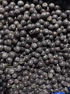 Arándanos Frescos <span class=keywords><strong>Congelados</strong></span> IQF al por Mayor, Certificados por HACCP, Paquete a Granel de 10 kg para la Venta - Product Image 5