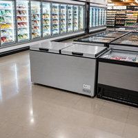 Congélateur coffre horizontal commercial à double compresseur, refroidissement direct, affichage LED, autonome, pour crème glacée