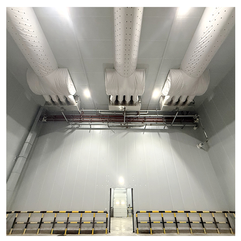 Customized Large Cold Storage Cold Freezer
