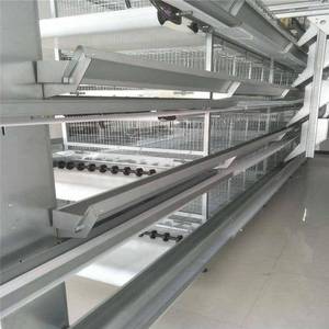 Tbb Hot Bán Thương hiệu Mới h-loại đẻ hen thiết bị-Thép tự động gia cầm lồng cho trang trại sử dụng - Product Image 5