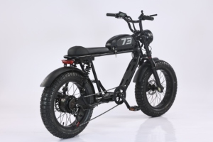 Vélo électrique de ville EBIKE 500W 48V avec pneus larges de 20 pouces, batterie 20Ah, vitesse 45 km/h, moteur à moyeu arrière 6 vitesses, pour les déplacements urbains et les loisirs - Product Image 3