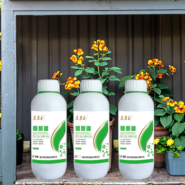 100% Water Soluble Fertilizer Boron