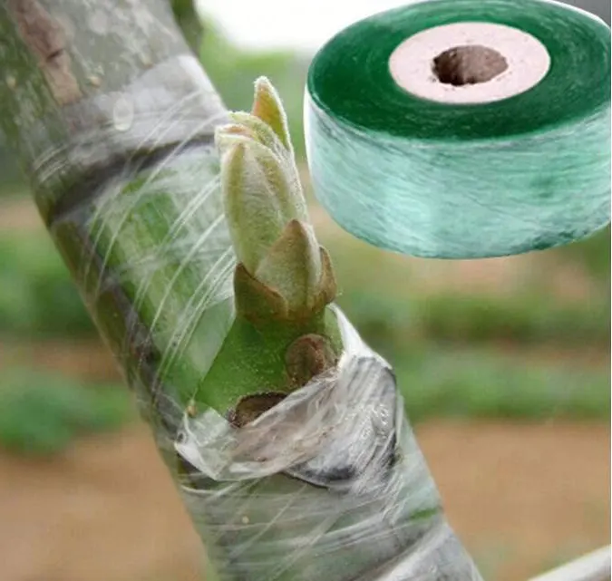 Garten Biologisch abbaubares Kindergarten-Pfropf band Dehnbares Garten band für Pflanzen Obstbäume