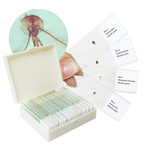 ชุดปากแมลงสไลด์ FRT1022เตรียมอุปกรณ์การศึกษาทางการแพทย์22ประเภทแบบจำลองห้องแล็บชีววิทยาสไลด์กล้องจุลทรรศน์สัตว์ - Product Image 1