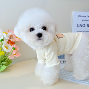 Vêtements pour chiots en gros d'usine OEM/ODM, manteau pour animaux de compagnie - Product Image 3