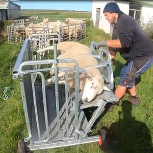 Cortadora de Pezuñas Portátil para Ovejas y Cabras, Máquina para Recortar Pezuñas con Báscula - Product Image 3