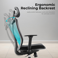 Chaise de bureau ergonomique haut de gamme en maille avec soutien lombaire dynamique et assise à profondeur réglable – Vente en gros
