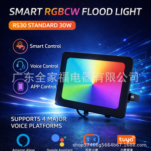 Smart Remote RGB Solar Flood Light IP67 Waterproof Outdoor Garden Party Lighting Decorative <b>Spotlight</b> - Product Image 4