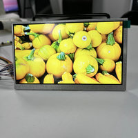 Module d'écran LCD IPS 7 pouces haute luminosité, résolution 1024x600, durable pour l'extérieur, visible en forte lumière, interface LVDS LED