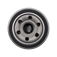 Filtre à huile moteur 4B11 4G92 6A13 4G69 4B12 6B31 4G94 MZ690115, nouveau filtre à carburant pour MITSUBISHI GRANDIS OUTLANDER 2.4
