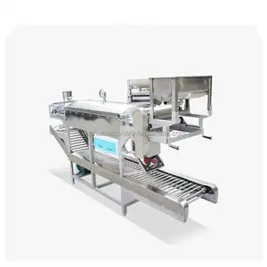 High Output Machine For Processing Rice Noodle / Rice Noodle Make Machine Electric / Liangpi Machine