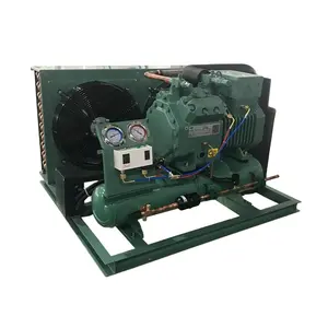 Ruixue Best Selling Open Type 380V Mini Vriezer Commerciële Koelkast Compressor En Condensor Voor Koude Kamer