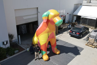 Chat et chien gonflables personnalisés, mascotte géante gonflable de dessin animé pour animaux de compagnie, publicité gonflable