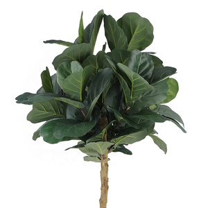 Trung Quốc nhà máy bán sỉ Top bán nhựa nhân tạo <span class=keywords><strong>fiddle</strong></span> lá cây cho ngoài trời trang trí - Product Image 3