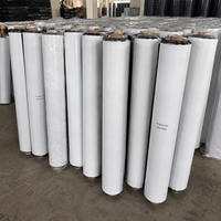 Film de paillage LDPE noir et blanc de haute qualité, stabilisé aux UV, film plastique pour couverture du sol agricole, pour la plantation en serre