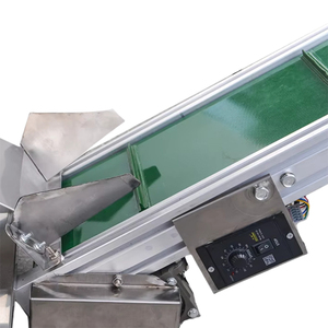 Transportador automático de polvo y gránulos para envasado de alimentos, elevador inclinado con cinta transportadora y tolva - Product Image 6