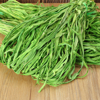 Légumes Séchés de Qualité Supérieure : Kong-tsai, Méduse de Montagne et Tiges de Laitue Séchées