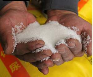 Engrais azoté granulé/prillé (N46%) en gros d'usine, 100% soluble dans l'eau, libération rapide, avec échantillon gratuit - Product Image 2