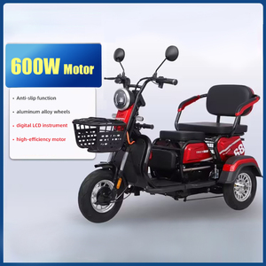 Bicicletas y Triciclos Eléctricos Inteligentes para Adultos con Marco de Acero de 600W, Capacidad de 300-500kg, 3 Velocidades y Cambios Digitales - Product Image 3