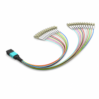Câble de brassage fibre optique 24 fibres MPO vers LC 0,9 mm haute densité pour centre de données