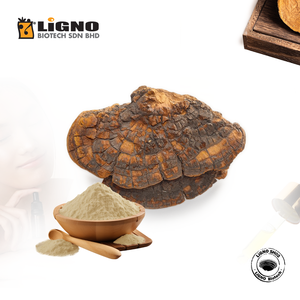 ผู้ผลิตมาเลเซีย Great Source Sang Huang LiGNO SH02 ผงสารสกัดมาตรฐานสำหรับเสริมสร้างภูมิคุ้มกัน ผู้จัดจำหน่ายอาหารเสริมเพื่อสุขภาพ - Product Image 1
