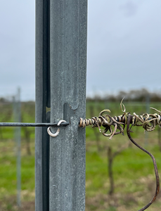 Bán buôn mạ kẽm 3D mô hình kim loại vườn hàng rào sơn tĩnh điện kết thúc PVC Sắt thép nho cổ phần cực <span class=keywords><strong>trellis</strong></span> cho thiên nhiên - Product Image 5