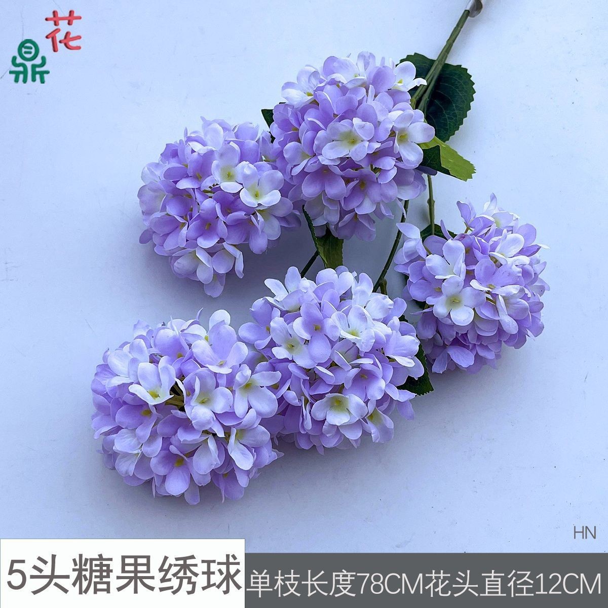 แคนดี้ไฮเดรนเยีย HN 5 หัว สีม่วงอ่อน ไม่มีใบ