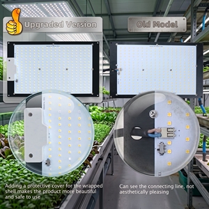 Luci LED per Coltivazione <span class=keywords><strong>in</strong></span> Alluminio a Spettro Completo da 240 <span class=keywords><strong>Watt</strong></span> LM301H con Controllo Intelligente per Crescita Idroponica Indoor e Fase di Fioritura e Vegetativa - Product Image 4