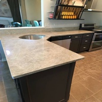 Dalle de pierre naturelle de luxe pour comptoir, quartz, granit, quartzite, marbre, Taj Mahal