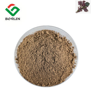 Pure <span class=keywords><strong>Perilla</strong></span> Leaf Extract Poeder Food Grade <span class=keywords><strong>Perilla</strong></span> Leaf Extract Poeder 10:1 20:1 Voor Gezondheidszorg Supplement - Product Image 6