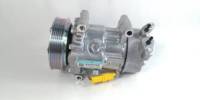 Nouveau compresseur de climatisation de haute qualité Cheshipei CSP-166141 pour Citroën Peugeot 307 12V OE