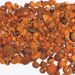 Meilleurs calculs biliaires de bovins de qualité supérieure 80/20, certifiés GMP, jaune-brun, 25 kg/tambour, origine UG, hydrosolubles, durée de conservation de 3 ans, pour la santé - Product Image 2